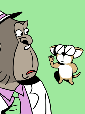 마태복음 뒷조사